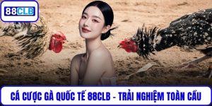 Cá Cược Gà Quốc Tế 88CLB – Trải Nghiệm Phong Cách Toàn Cầu