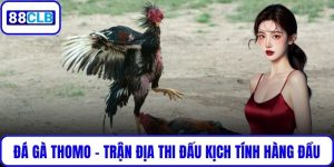Đá Gà Thomo – Trận Địa Thi Đấu Kịch Tính Hàng Đầu Tại 88CLB